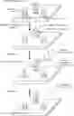 Fig. 01 - SPATIAL CONTROL OF POLYNUCLEOTIDE SYNTHESIS BY STRAND CAPPING