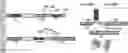 Fig. 01 - HIGH-EFFICIENCY RECONSTITUTION OF RNA MOLECULES
