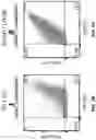 Fig. 08 - HIGH-EFFICIENCY RECONSTITUTION OF RNA MOLECULES