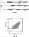 Fig. 11 - HIGH-EFFICIENCY RECONSTITUTION OF RNA MOLECULES