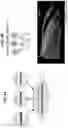 Fig. 14 - HIGH-EFFICIENCY RECONSTITUTION OF RNA MOLECULES