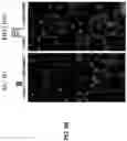 Fig. 26 - HIGH-EFFICIENCY RECONSTITUTION OF RNA MOLECULES