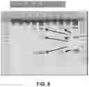 Fig. 07 - METHODS OF CULTURING A MAMMALIAN CELL