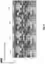 Fig. 09 - SYSTEM, METHOD AND INTERFACE FOR PARALLEL PROCESSING OF ANTIMICROBIAL SUSCEPTIBILITY TESTS USING DIFFERENT SAMPLES