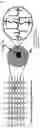 Fig. 02 - METHODS AND KITS FOR DETERMINING CELL SECRETED BIOMOLECULES