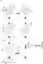Fig. 03 - METHODS AND KITS FOR DETERMINING CELL SECRETED BIOMOLECULES