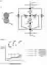 Fig. 16 - METHODS AND KITS FOR DETERMINING CELL SECRETED BIOMOLECULES