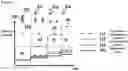 Fig. 19 - METHODS AND KITS FOR DETERMINING CELL SECRETED BIOMOLECULES
