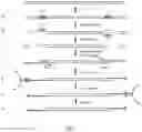 Fig. 05 - Method of nucleic acid enrichment using site-specific nucleases followed by capture