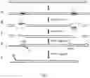 Fig. 07 - Method of nucleic acid enrichment using site-specific nucleases followed by capture