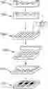 Fig. 01 - METHODS AND SYSTEMS FOR PROCESSING OR ANALYZING OLIGONUCLEOTIDE ENCODED MOLECULES