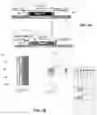 Fig. 03 - Integrated device for nucleic acid detection and identification