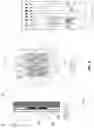 Fig. 04 - Integrated device for nucleic acid detection and identification