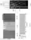 Fig. 05 - Integrated device for nucleic acid detection and identification