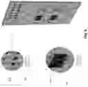 Fig. 09 - Integrated device for nucleic acid detection and identification