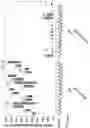 Fig. 16 - Detection method for 