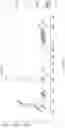 Fig. 21 - COST-EFFECTIVE DETECTION OF LOW FREQUENCY GENETIC VARIATION