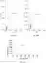 Fig. 31 - COST-EFFECTIVE DETECTION OF LOW FREQUENCY GENETIC VARIATION