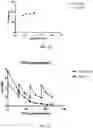 Fig. 23 - FED-BATCH IN VITRO TRANSCRIPTION PROCESS