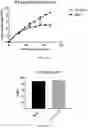 Fig. 24 - FED-BATCH IN VITRO TRANSCRIPTION PROCESS