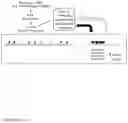 Fig. 08 - Precise and Programmable DNA Nicking System and Methods