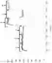 Fig. 07 - SSB METHOD