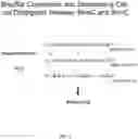 Fig. 03 - METHODS AND KITS FOR DETECTION OF METHYLATION STATUS