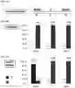 Fig. 05 - METHODS AND KITS FOR DETECTION OF METHYLATION STATUS