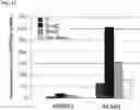 Fig. 14 - METHODS AND KITS FOR DETECTION OF METHYLATION STATUS