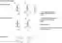 Fig. 01 - METHOD TO GENERATE BIOCOMPATIBLE DENDRITIC POLYMERS FOR ANALYTE DETECTION WITH MULTIMODAL LABELING AND SIGNAL AMPLIFICATION