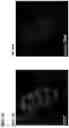 Fig. 15 - METHOD TO GENERATE BIOCOMPATIBLE DENDRITIC POLYMERS FOR ANALYTE DETECTION WITH MULTIMODAL LABELING AND SIGNAL AMPLIFICATION