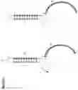 Fig. 25 - METHOD TO GENERATE BIOCOMPATIBLE DENDRITIC POLYMERS FOR ANALYTE DETECTION WITH MULTIMODAL LABELING AND SIGNAL AMPLIFICATION