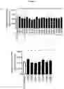 Fig. 16 - METHOD OF IDENTIFYING PATIENTS WITH BORTEZOMIB RESISTANT MULTIPLE MYELOMA AND OTHER BLOOD DISEASES