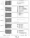 Fig. 35 - METHODS OF TREATING UROTHELIAL CARCINOMA