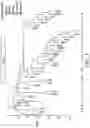 Fig. 03 - METHODS FOR IDENTIFICATION OF NOVEL GENES FOR MODULATING PLANT AGRONOMIC TRAITS