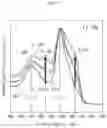 Fig. 17 - Method for selectively manufacturing material layer and target pattern