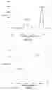 Fig. 13 - Method for manufacturing amorphous multielement metal oxide hydroxide film