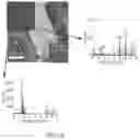 Fig. 31 - Method for manufacturing amorphous multielement metal oxide hydroxide film