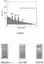Fig. 41 - Method for manufacturing amorphous multielement metal oxide hydroxide film