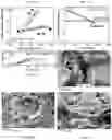 Fig. 11 - METHODS TO IMPROVE THE DURABILITY OF METAL-SUPPORTED SOLID OXIDE ELECTROCHEMICAL DEVICES
