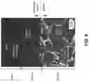Fig. 10 - ENHANCED ANODIZATION FUNCTIONALITY IN AL-RARE EARTH ELEMENT-BASED ALLOYS