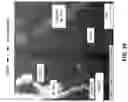Fig. 11 - ENHANCED ANODIZATION FUNCTIONALITY IN AL-RARE EARTH ELEMENT-BASED ALLOYS