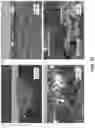 Fig. 14 - ENHANCED ANODIZATION FUNCTIONALITY IN AL-RARE EARTH ELEMENT-BASED ALLOYS