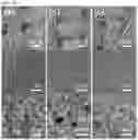 Fig. 05 - FUNCTIONAL MATERIAL AND METHOD FOR MANUFACTURING THE SAME
