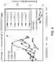 Fig. 05 - Methods for forming a silicon substrate with reduced grown-in nuclei for epitaxial defects and methods for forming an epitaxial wafer
