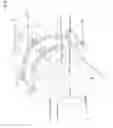 Fig. 05 - DRUM FOR A WASHING MACHINE, COMPRISING AT LEAST ONE PARALLELEPIPED-SHAPED COMPARTMENT, AND WASHING MACHINE COMPRISING SAME