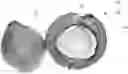 Fig. 01 - COCONUT HARD SHELL GRANULES SOFTENING METHOD