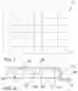 Fig. 02 - Tile system for ceiling and wall