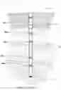 Fig. 10 - Downhole inductive transmission coupler with nonlinear coil