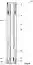 Fig. 12 - Method and system for boosting sealing elements of downhole barriers